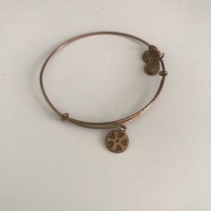 Alex and ani heart charm bangle